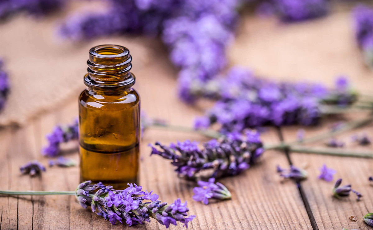 What to bring from Bulgaria. Souvenirs - Lavender oil.
