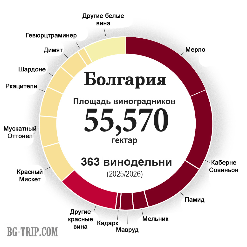Соотношение производства белых и красных вин Болгарии по сортам